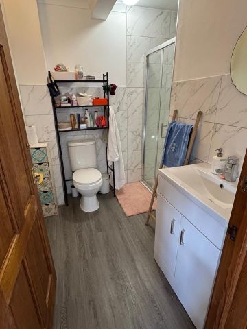 Studio Flat, London, SE19 - Photo 5