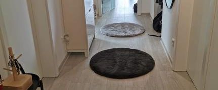 Lichtdurchflutete Dachgeschosswohnung mit sehr großem Süd-Balkon - Foto 1