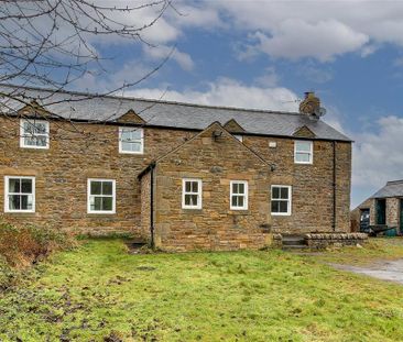 3 bedroom semi-detached house to rent - Photo 6