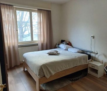 Nice 2.5 room apartment in the center of Sierre - Photo 3