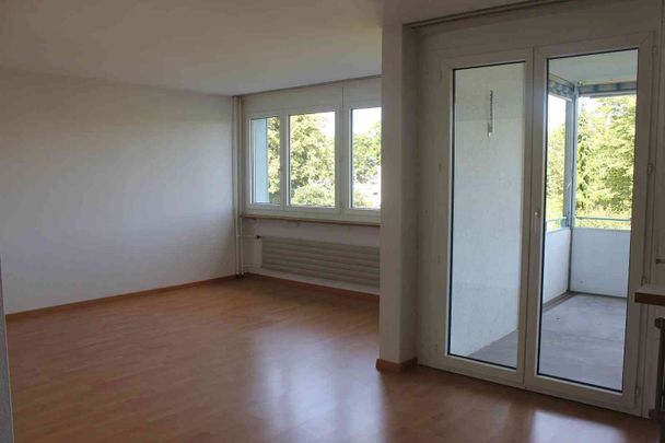 3.5 Zimmer, 75 m², 1. Stock - Foto 1
