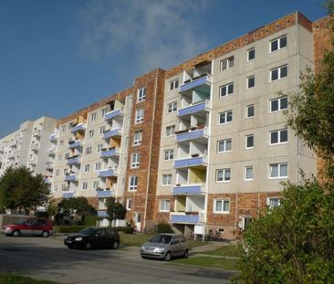 2 Raumwohnung in Grünhufe! - Photo 1