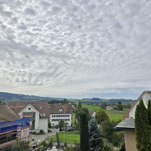 Modernes Wohnen in ruhiger und naturnaher Lage - Photo 2