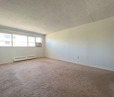 One bedroom apartment near downtown - Photo 3