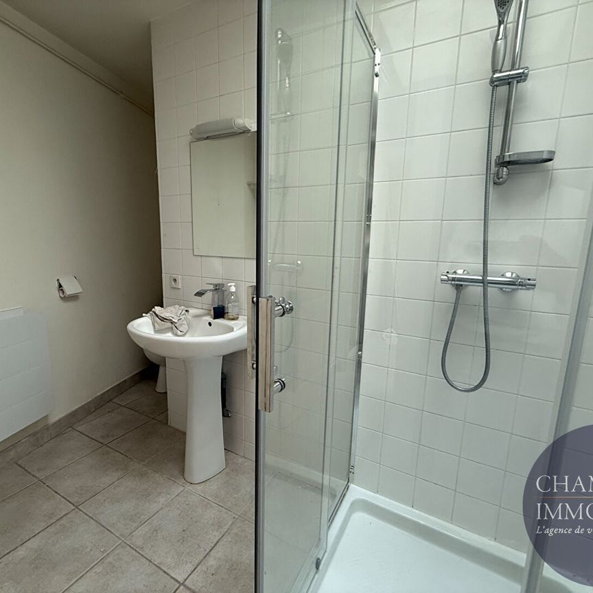 Appartement Blois 3 pièce(s) 70 m2 - Photo 1