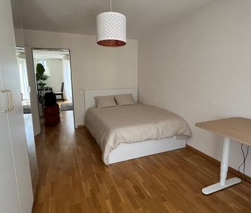 1 Zimmer, 68 m², Untergeschoss - Foto 5