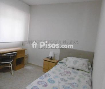 Piso en alquiler en Nueva Andalucía - Photo 3