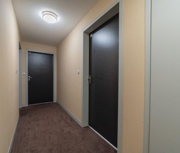 Location Appartement 2 pièces 31m² NANTES 44000 - Photo 6