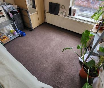 12 bedroom detached house to rent - Photo 6