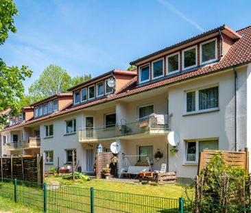 Demnächst frei! 2-Zimmer-Wohnung in Zeven - Photo 1