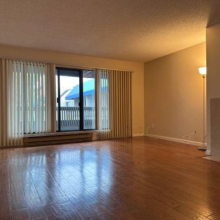 This 836 Sft huge one bed corner unit apartment located in the heart o - Photo 1