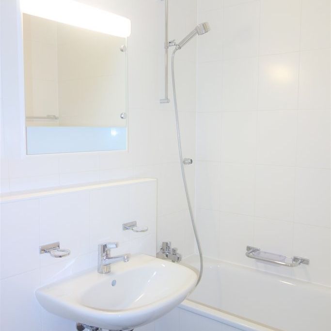 Quartier de la Gradelle - Chêne-Bougeries - Photo 1