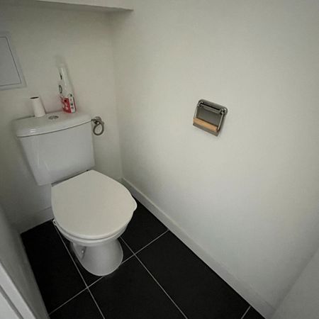 Location Appartement 1 pièce 13m² LILLE 59000 - Photo 3