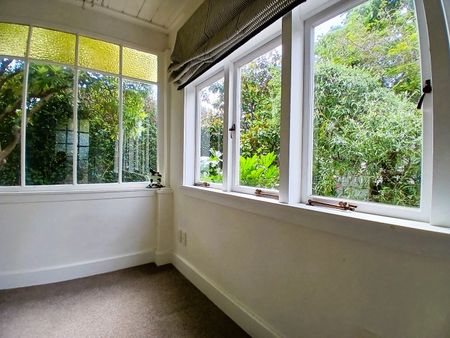 Spacious pet friendly remuera home. - Photo 3