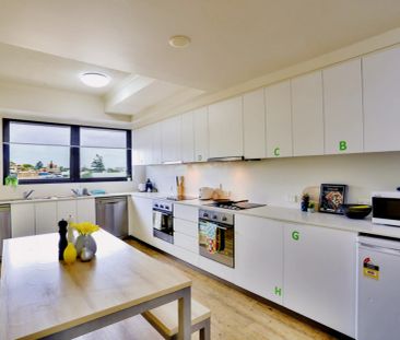 Scape Tribune, Brisbane - Photo 2