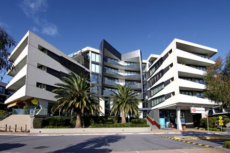 310/222 Bay Road, Sandringham VIC 3191 - Apartment For Rent | Domain - Photo 3