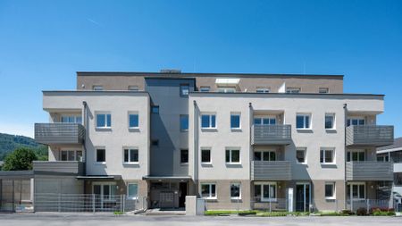 SCHEIBBS XXIII/1 - Photo 5