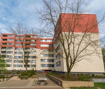 Frisch modernisiert & einladend – Ihr neues Zuhause zum Wohlfühlen - Photo 1