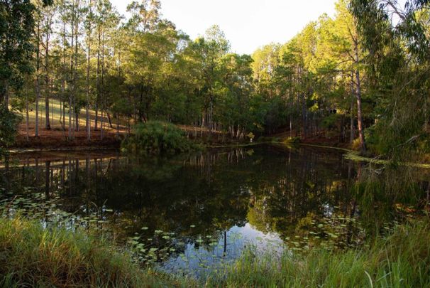 Step outside to your own private paradise! - Photo 1
