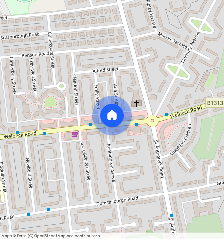 Welbeck Road, Byker, NE6