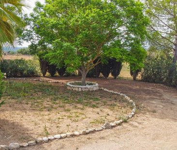 3 room luxury Farmhouse for rent in Santa Margalida, Spain - Photo 3