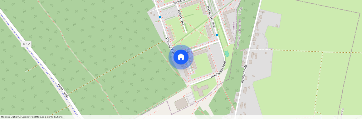 Otto-von-Guericke-Straße 31, 19063 Schwerin