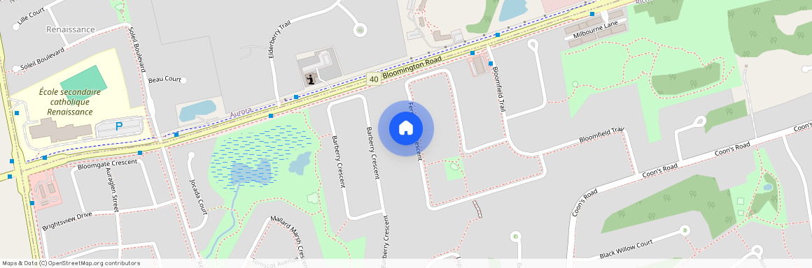 67 Fern Valley Crescent, Richmond Hill