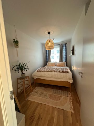 Hålsjögatan, Malmö - Foto 4