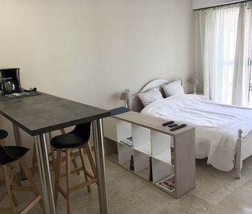 Location Appartement 1 pièce 36m² NICE 06000 - Photo 3