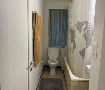 8952 Schlieren - Photo 6