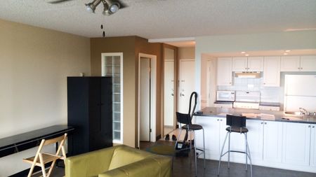 1 Br Condo In Downtown W City & River Views/ Heat & Water Incl. - Photo 2