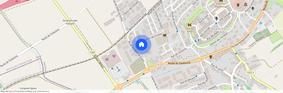 Impasse des Lilas 1, 1580 Avenches