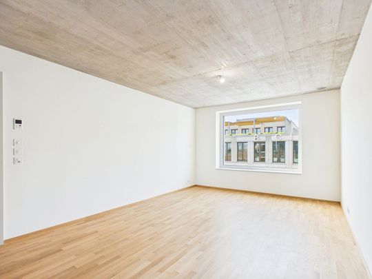 Erstbezug im modernen Neubau - hochwertiges Wohnen mitten in Basel - Foto 1