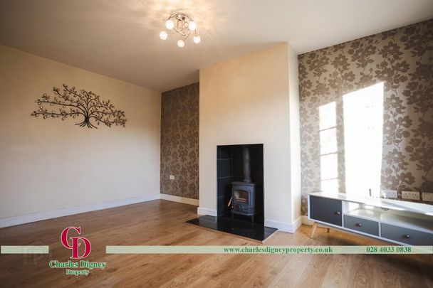 3 Lotus Green, Banbridge, BT32 3ZA - Photo 1