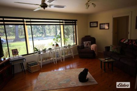 IMMACULATE 10 ACRE PROPERTY WITH HORSE ARENA & STABLES - Photo 2