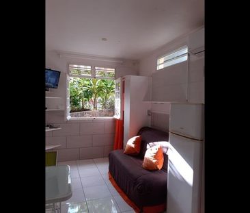 Location Appartement 1 pièce 15m² - Photo 2