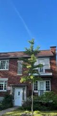 Appartement · 56 m² · Ahuntsic-Cartierville - Photo 2