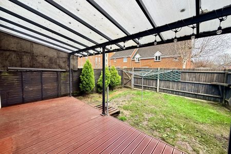 Little Hackets - Photo 4