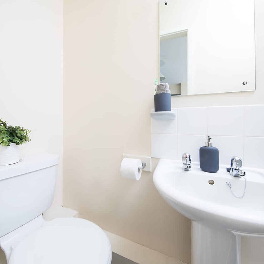 Extra Large Standard Double Studio - Photo 1