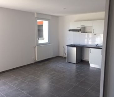 Location Appartement 2 pièces 47m² CASTANET TOLOSAN 31320 - Photo 3
