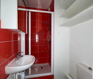 Location Appartement 1 pièce 16m² - Photo 3
