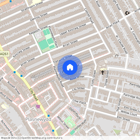 Cyfarthfa Street, CF24 3HF, Roath