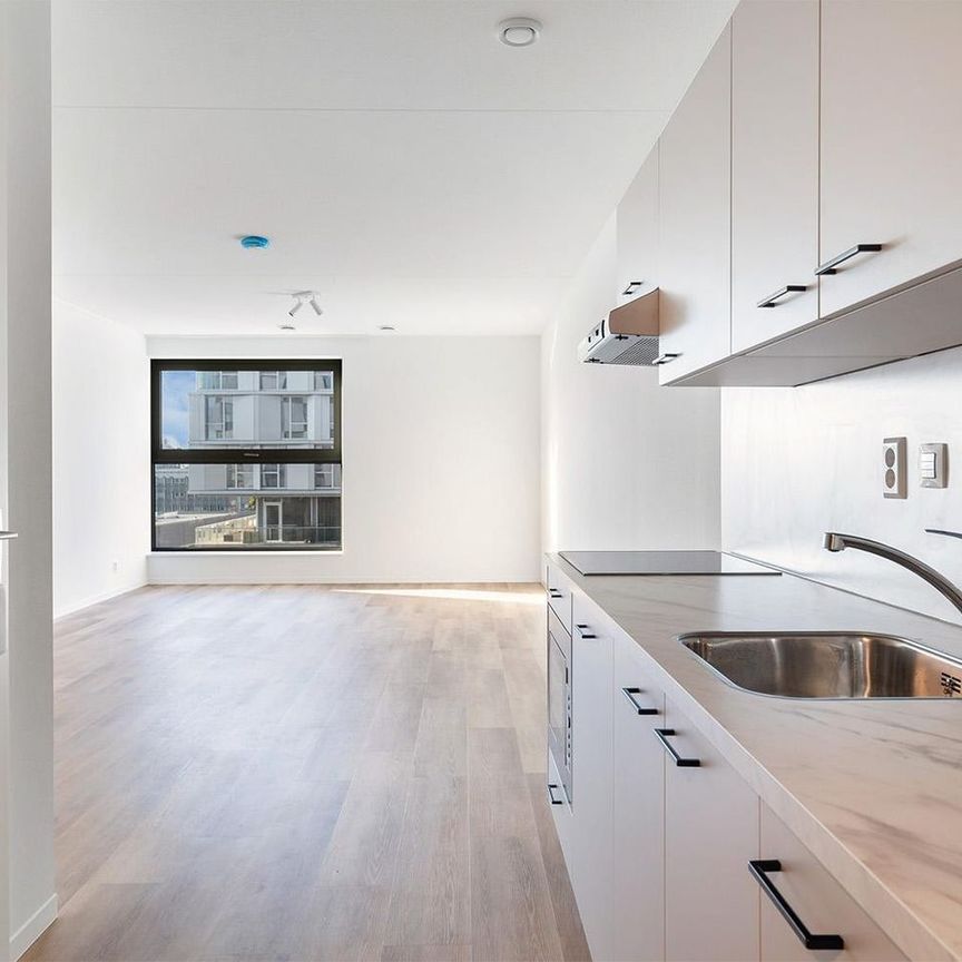 Lise Meitnerhof 397, Leeuwenhoek, 2333DL, Leiden - Foto 1