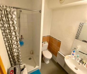 Location appartement 1 pièce, 20.00m², Albi - Photo 5