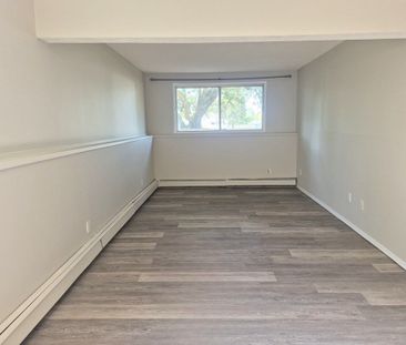 Newly Renovated 2 Large Bedroom Suites!!! - Photo 3