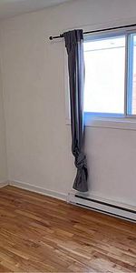 Renovated 2-bedroom Apartment in Cote-des-Neiges - Photo 4