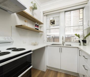 Renovated Apartment In Convenient Location - Photo 4