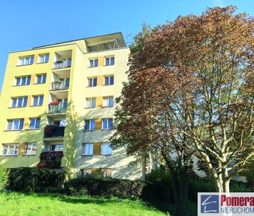 Drzetowo, ul. Willowa - Zdjęcie 3