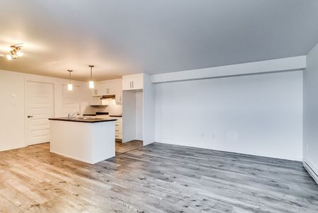 For Lease - 63 CARPE Street Unit# B, Casselman, Ontario - Photo 5