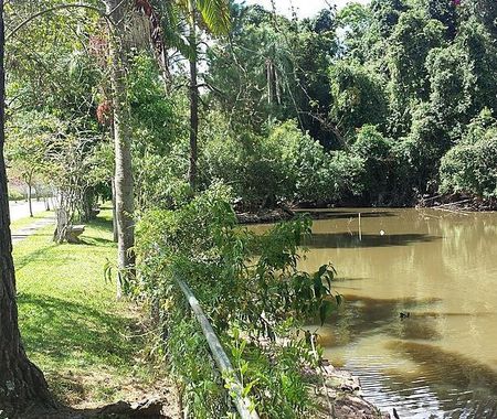 Casa, 400 m² - Venda por R$3.800.000ou Aluguel por R$15.000,00/mês - Granja Viana - Cotia/sp - Photo 5